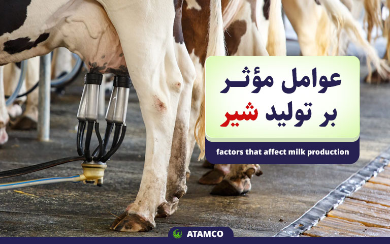عوامل مؤثر بر میزان تولید شیر
